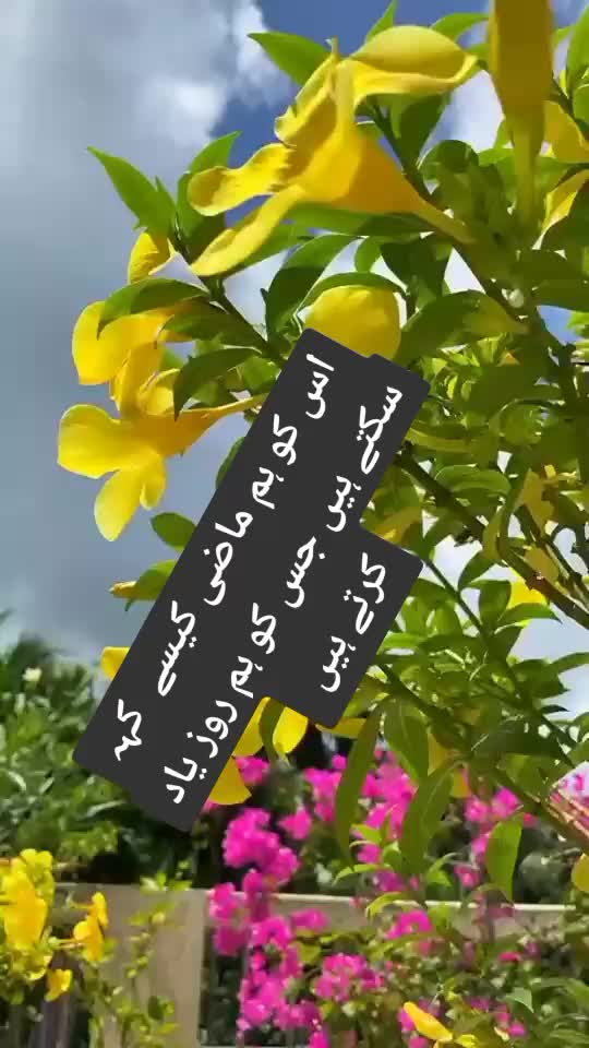 @ishq ibadat