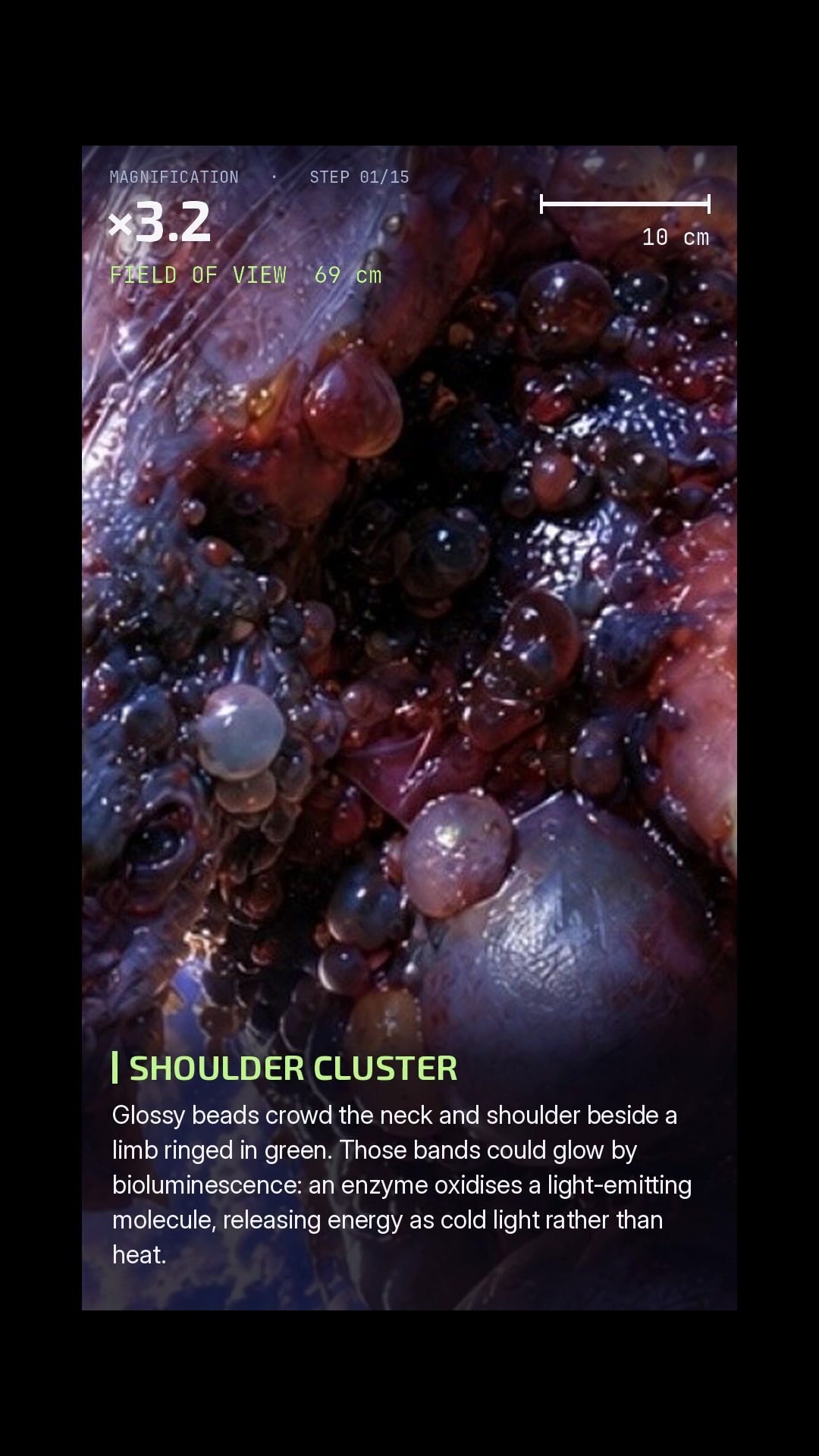 @ExoplanetWildlife