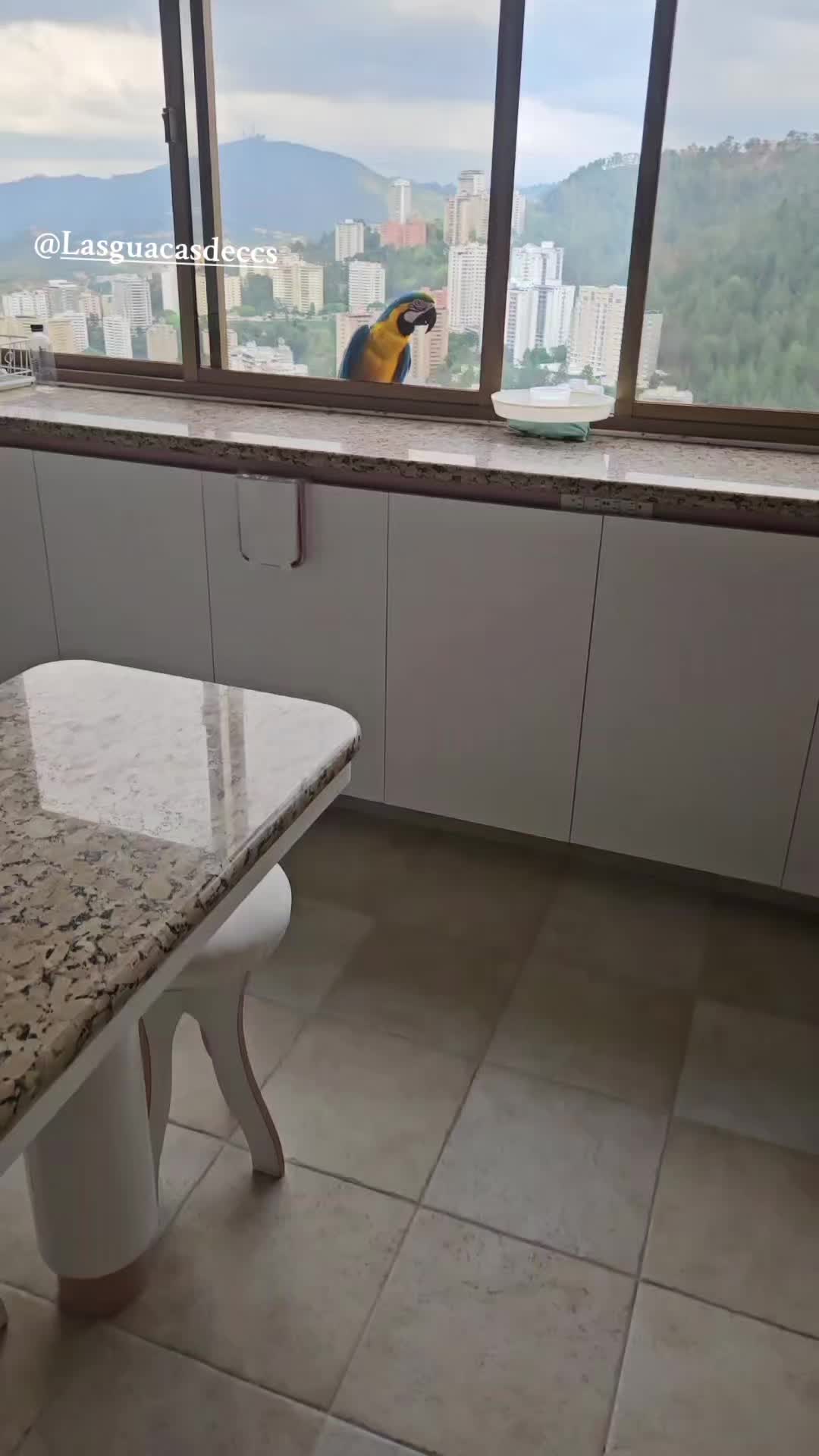 @LastutisdeCleo