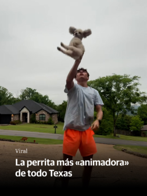 @El Diario Vasco