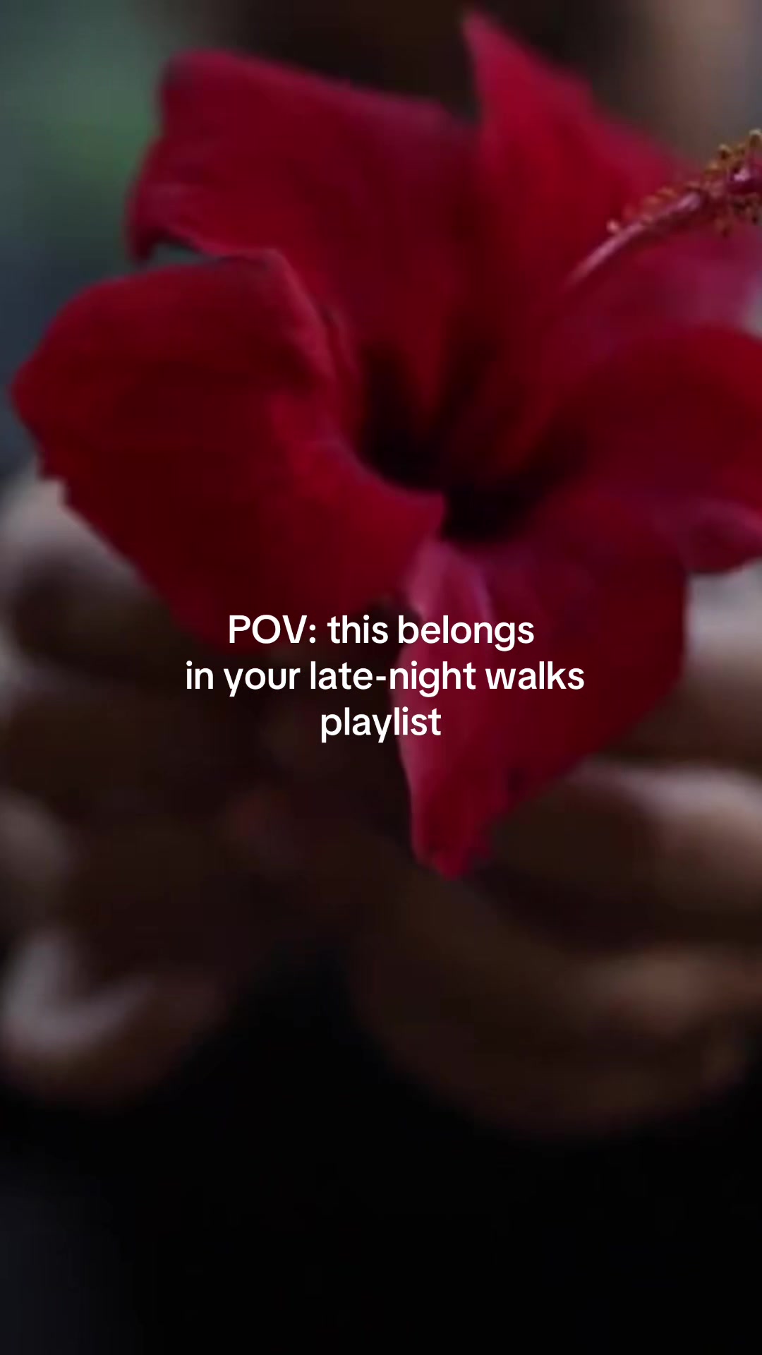 @Yasmin Umay