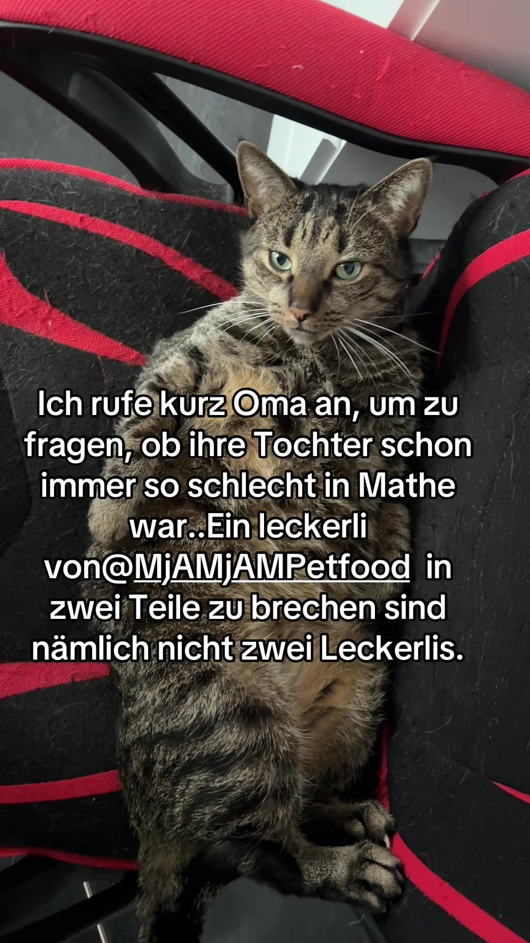 @Happykittycats_