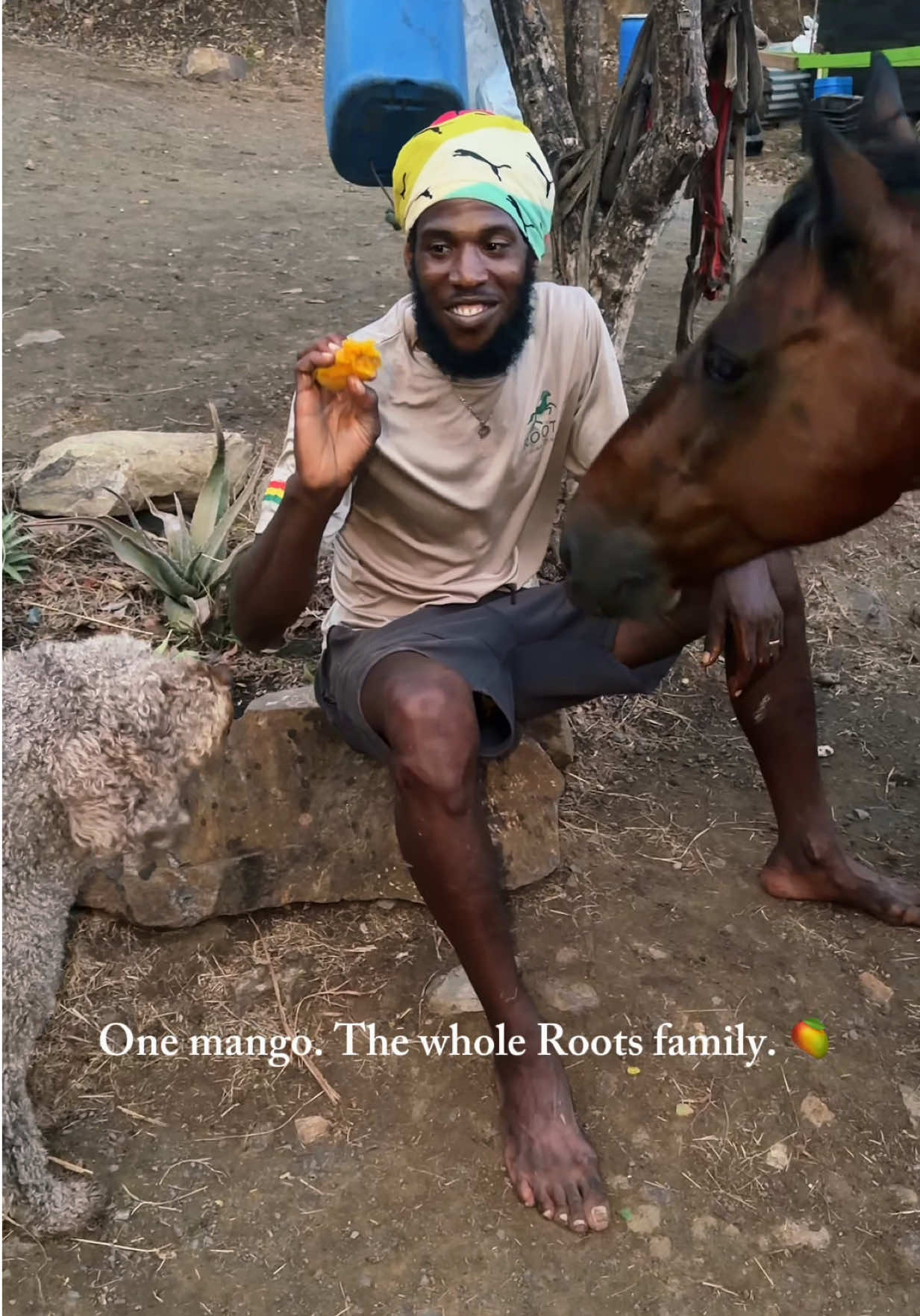 @roots_riding_stables