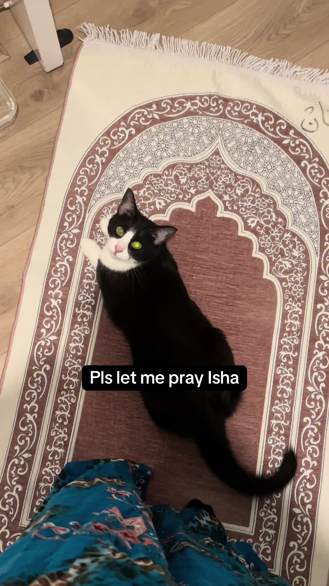 @maxineeeeeh