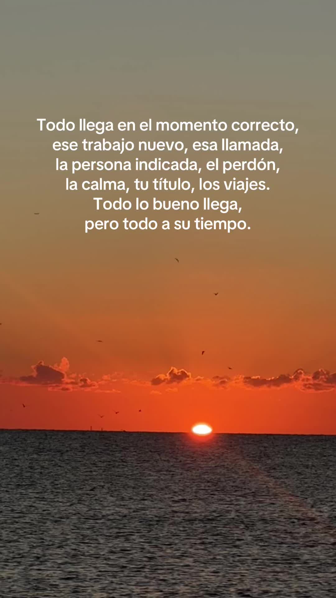 @Alanis Fernanda ✨