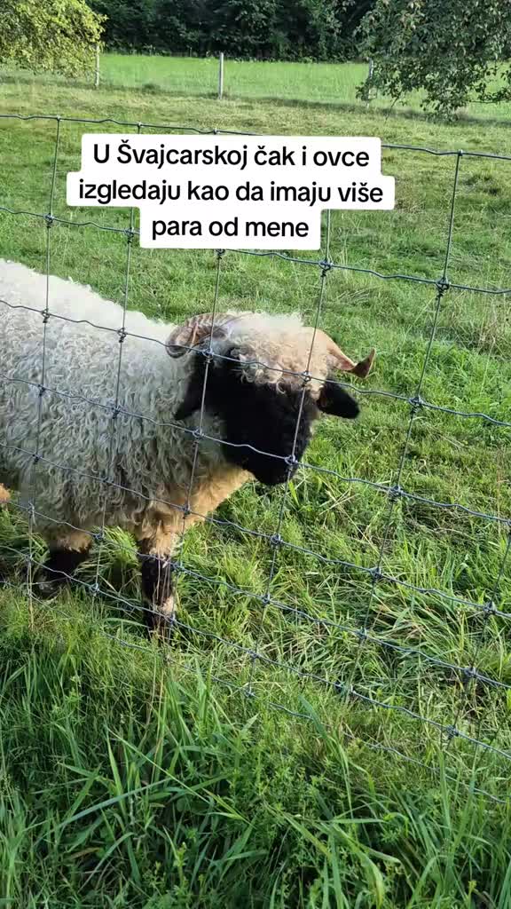 @Jolanda