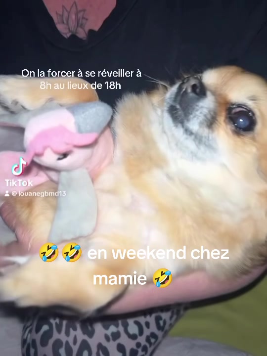 @lilikatbremond