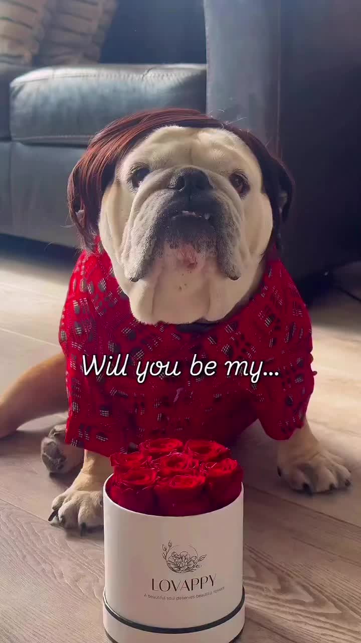 @Taco 🐶🧿