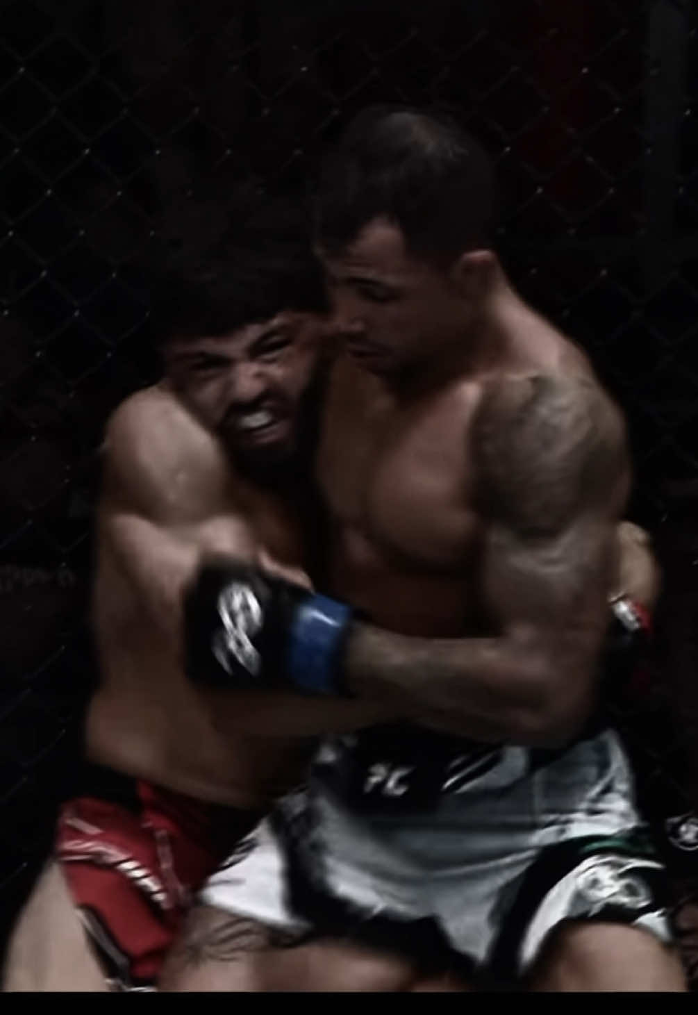 @kentizmma 🕷️