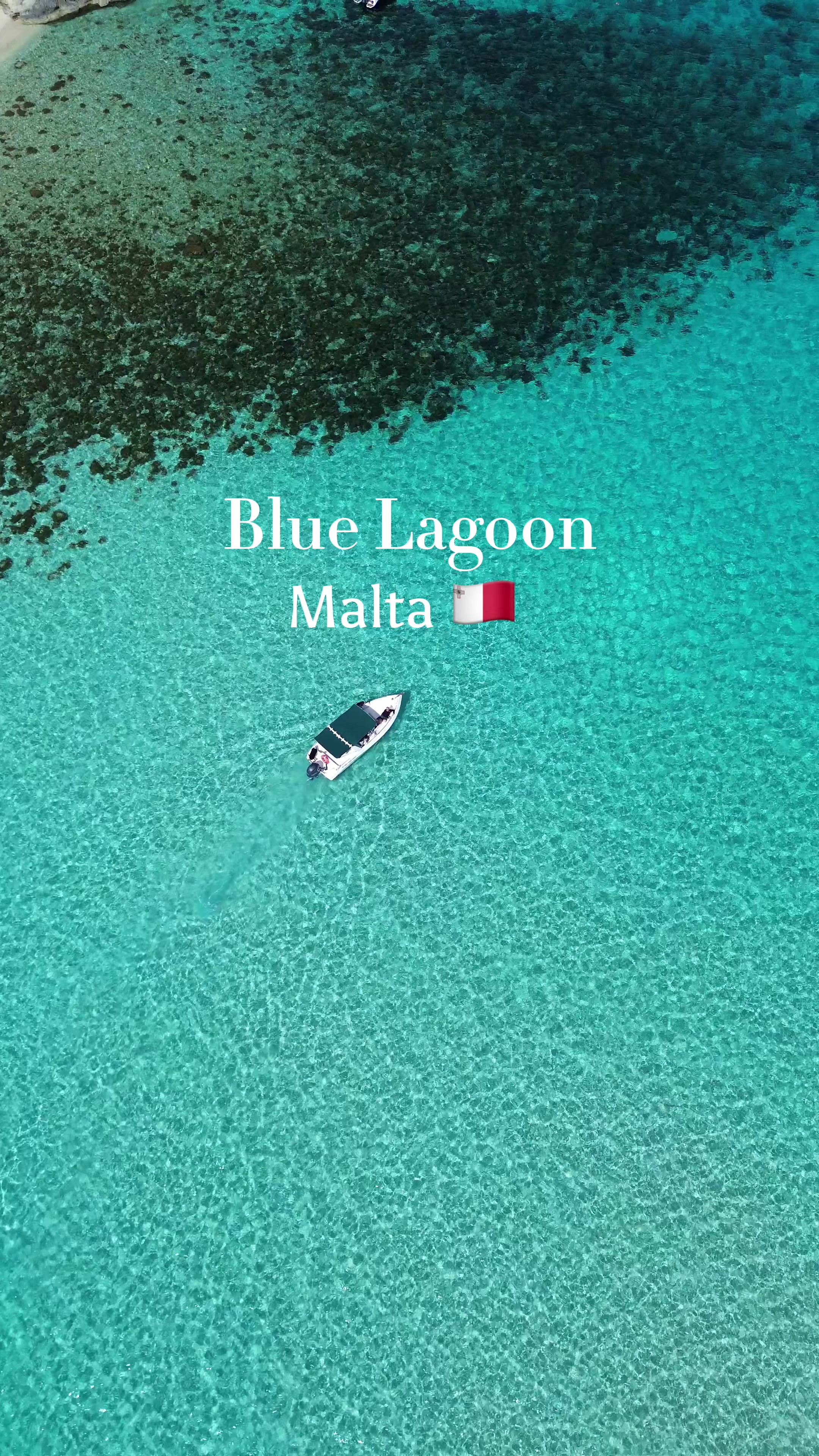 @All You Need Malta