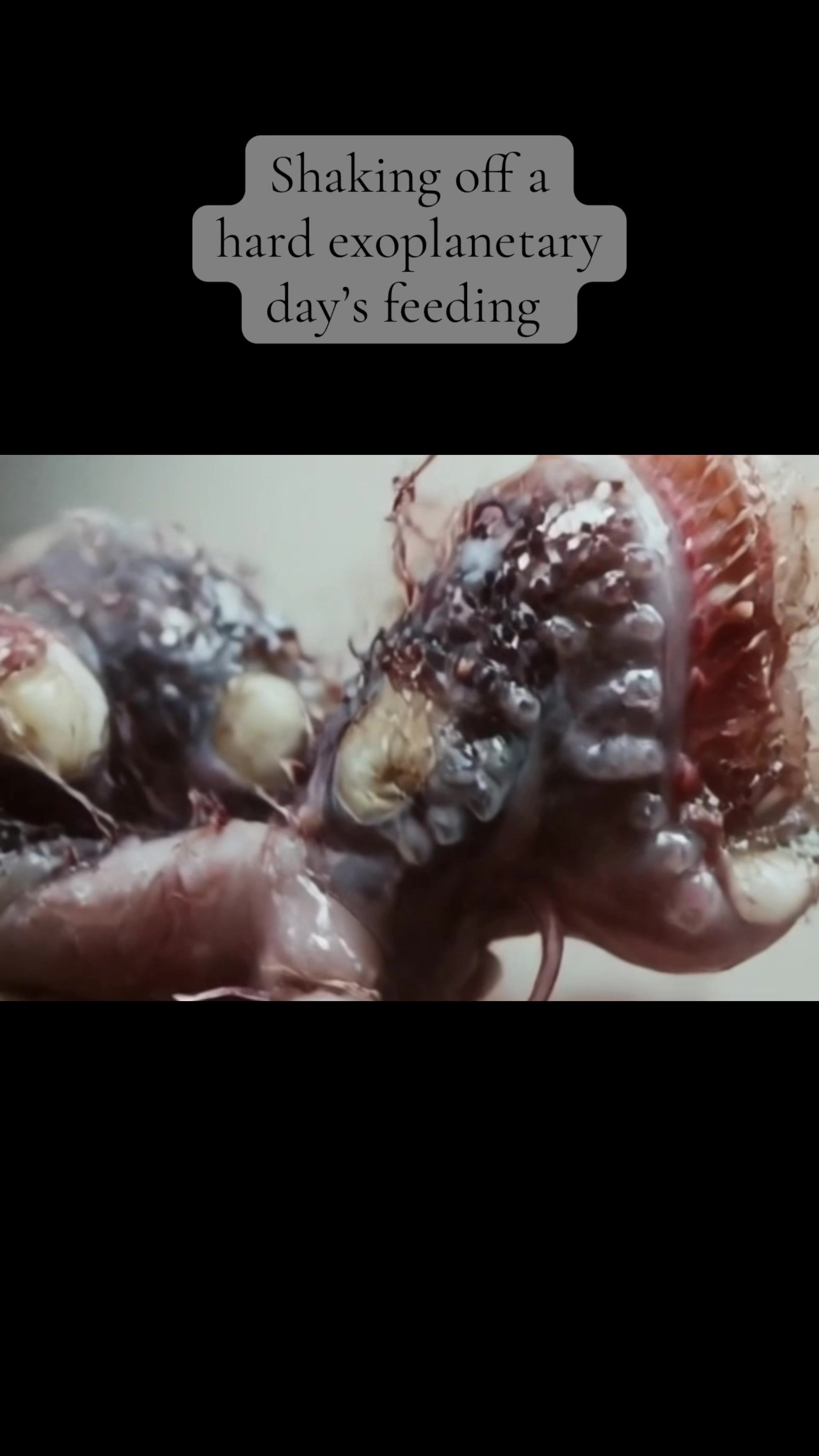 @ExoplanetWildlife