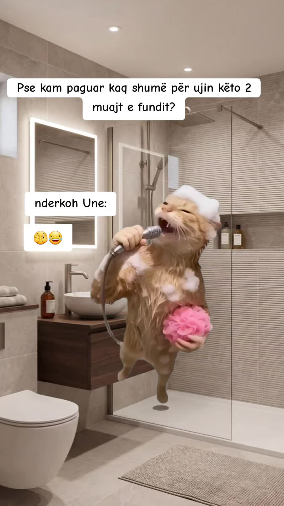 @✨️