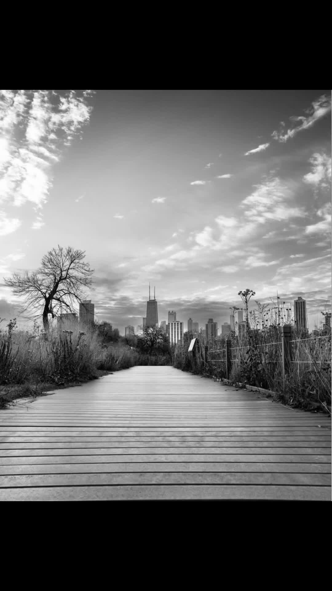 @Jonathan K Photo