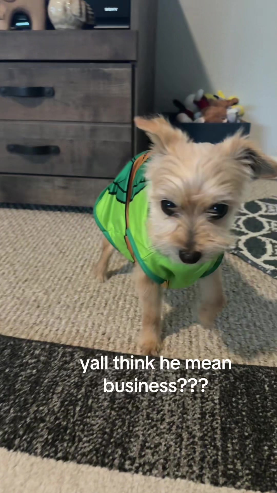 @estrella