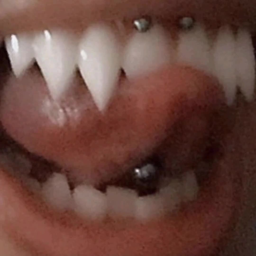 @emily  🦭