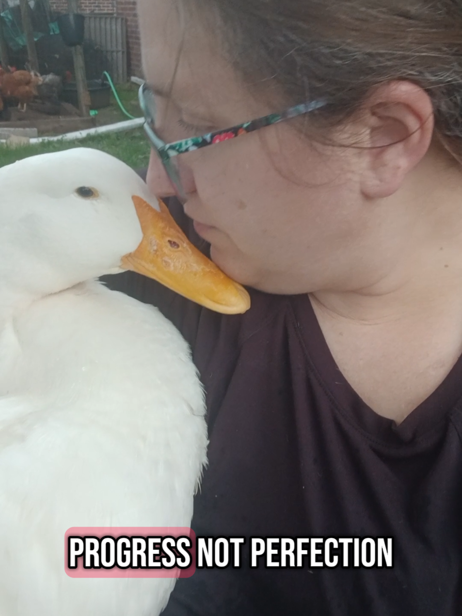 @aducknamedgoose