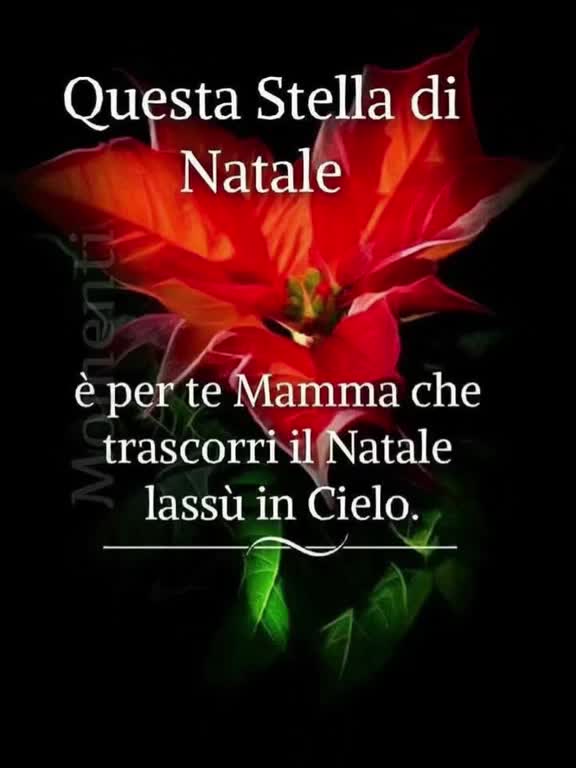 @adrianadidomenico2