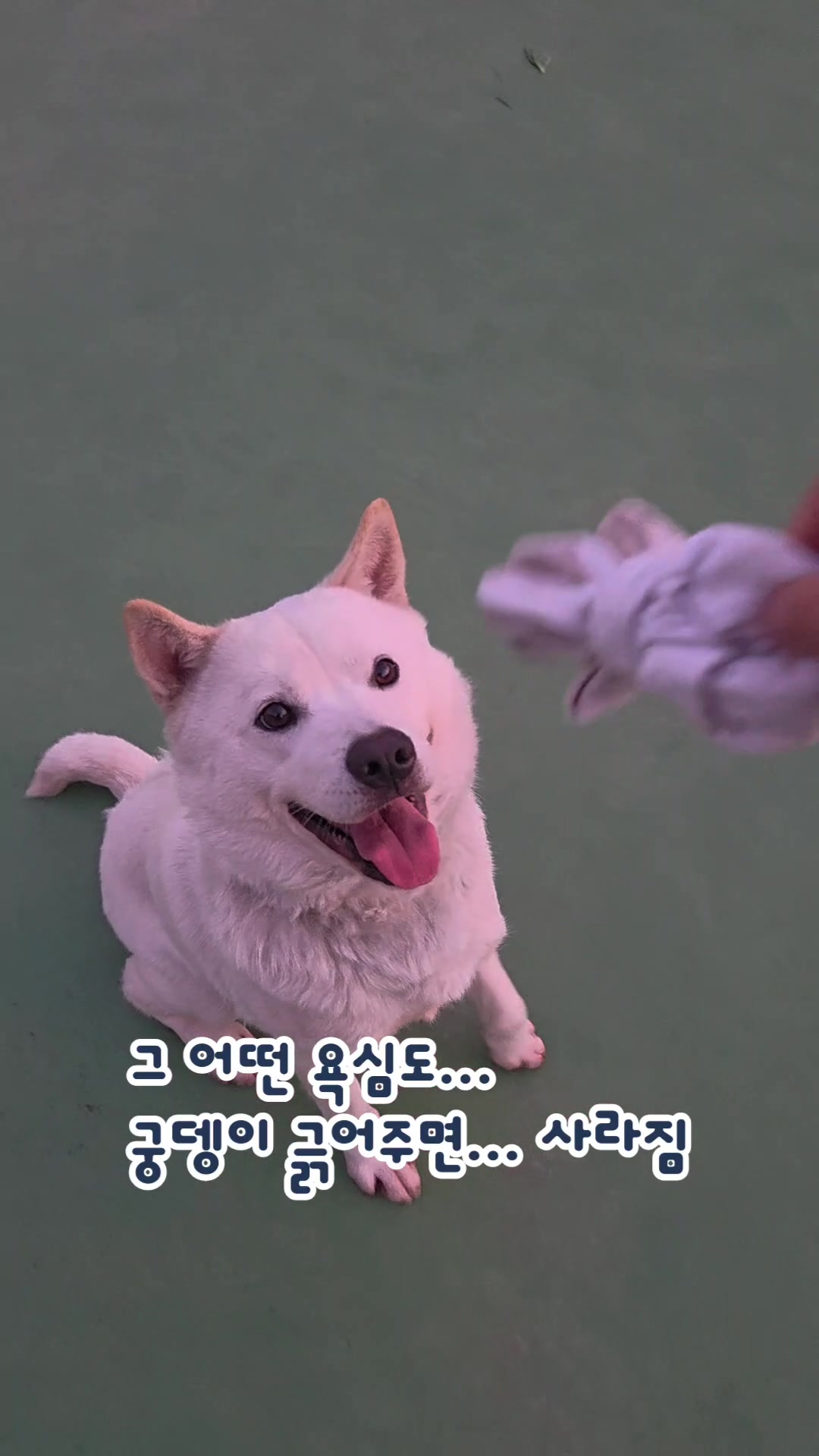 @BOK GIL