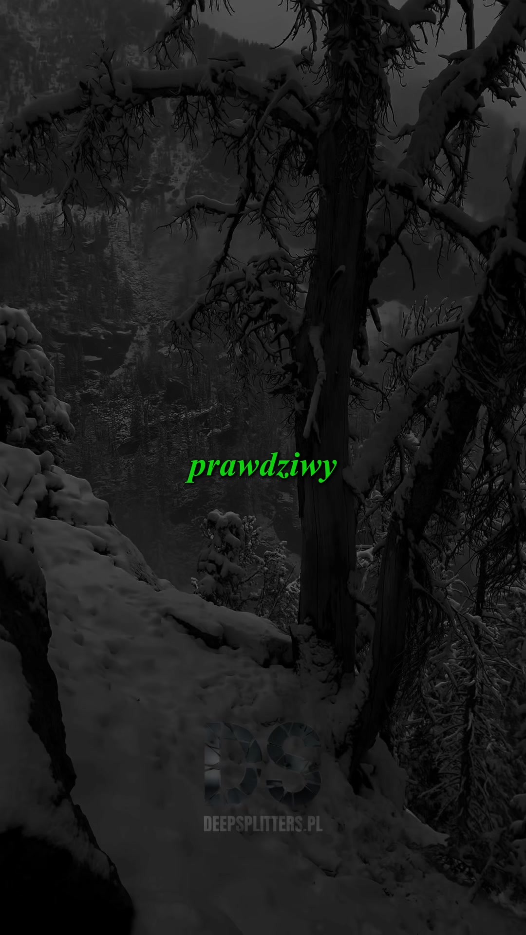 @Deepsplitterspl