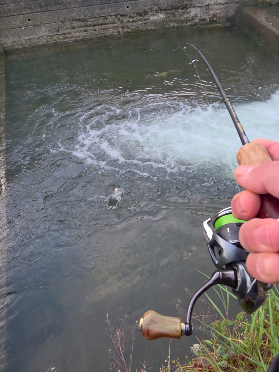 @BF Angler