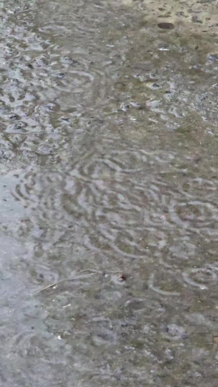 @Murree Live