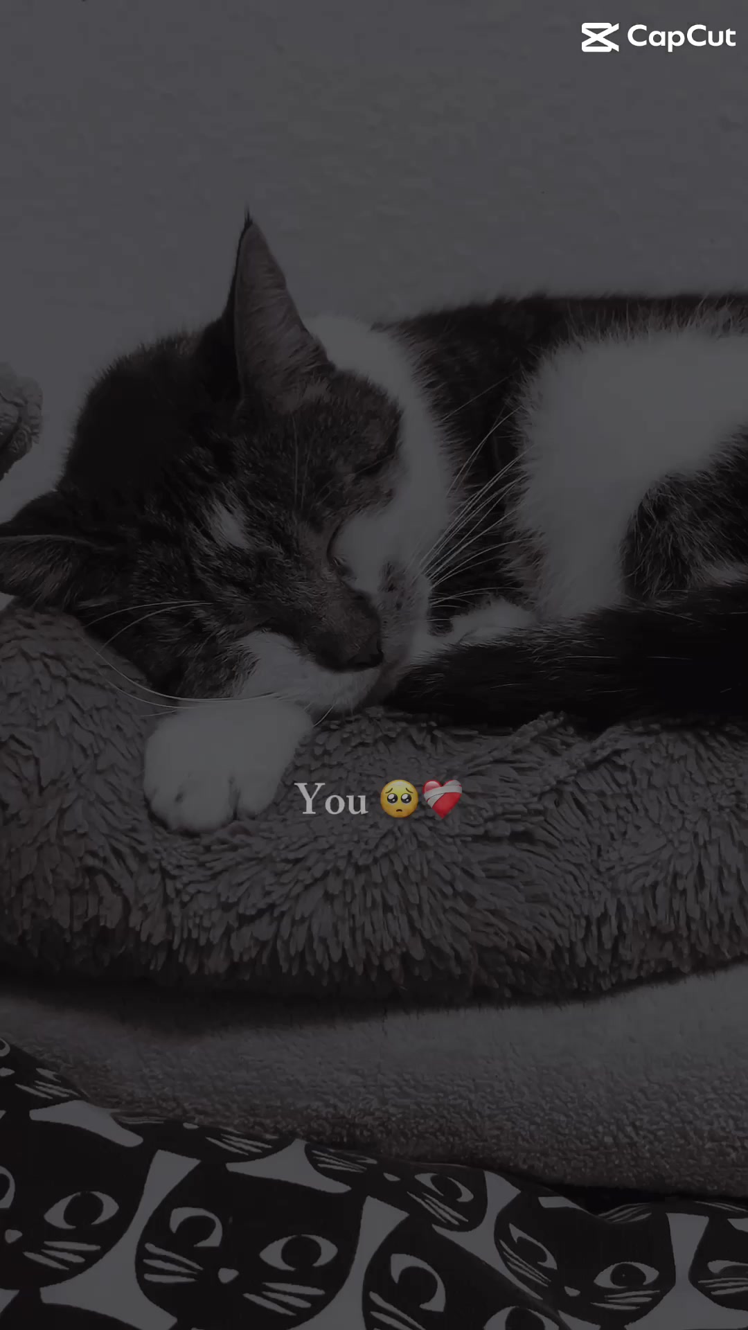 @Maxi