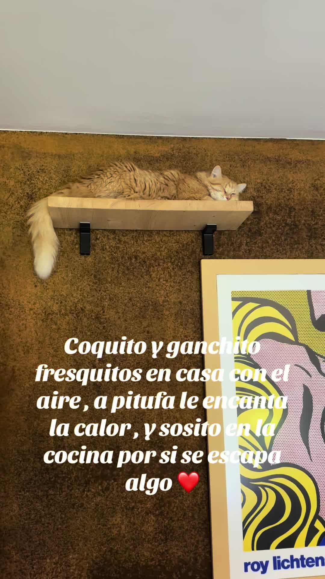 @Ganchito y su tropa