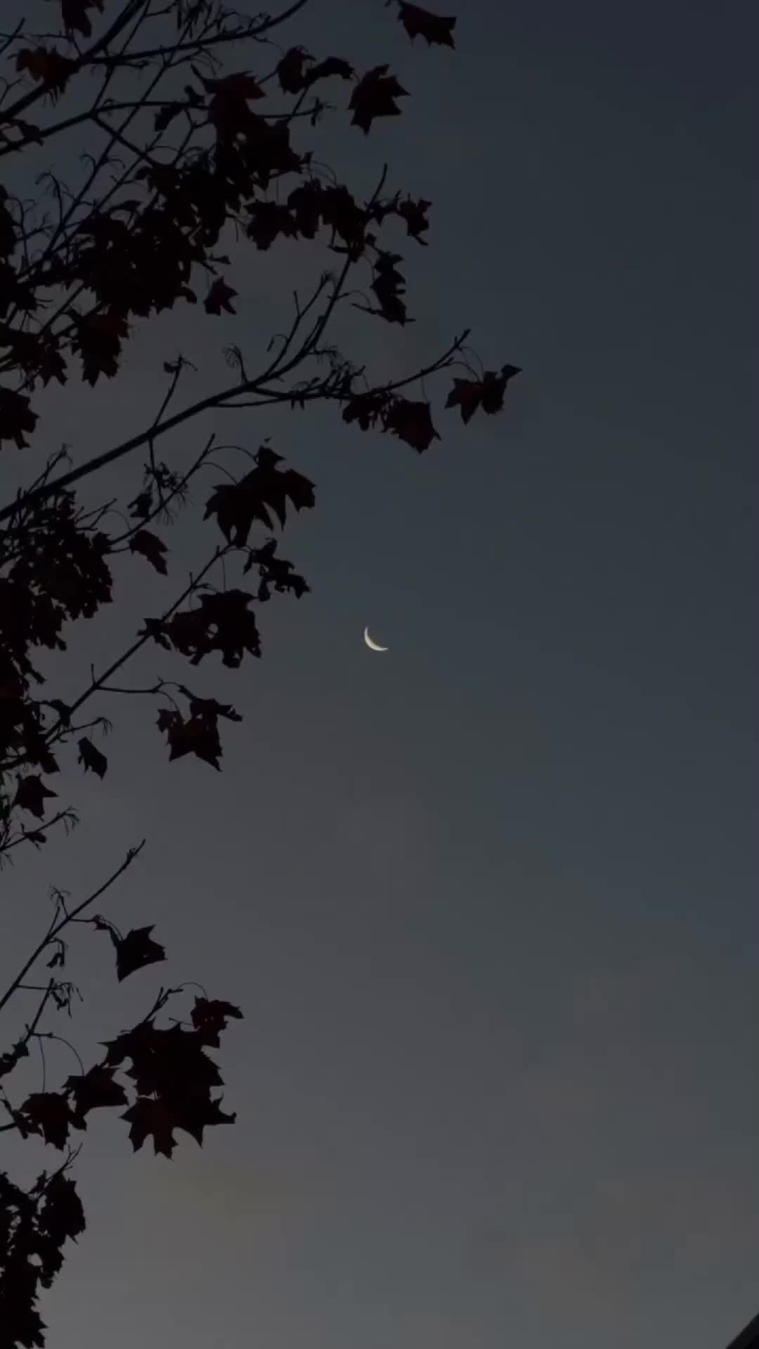 @ℕ𝔸𝕁𝔸𝔽_𝕁𝕌𝕋𝕥 😎