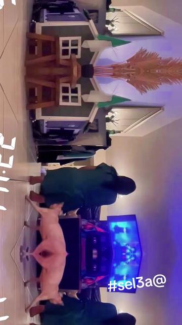 @sel3ate3na213