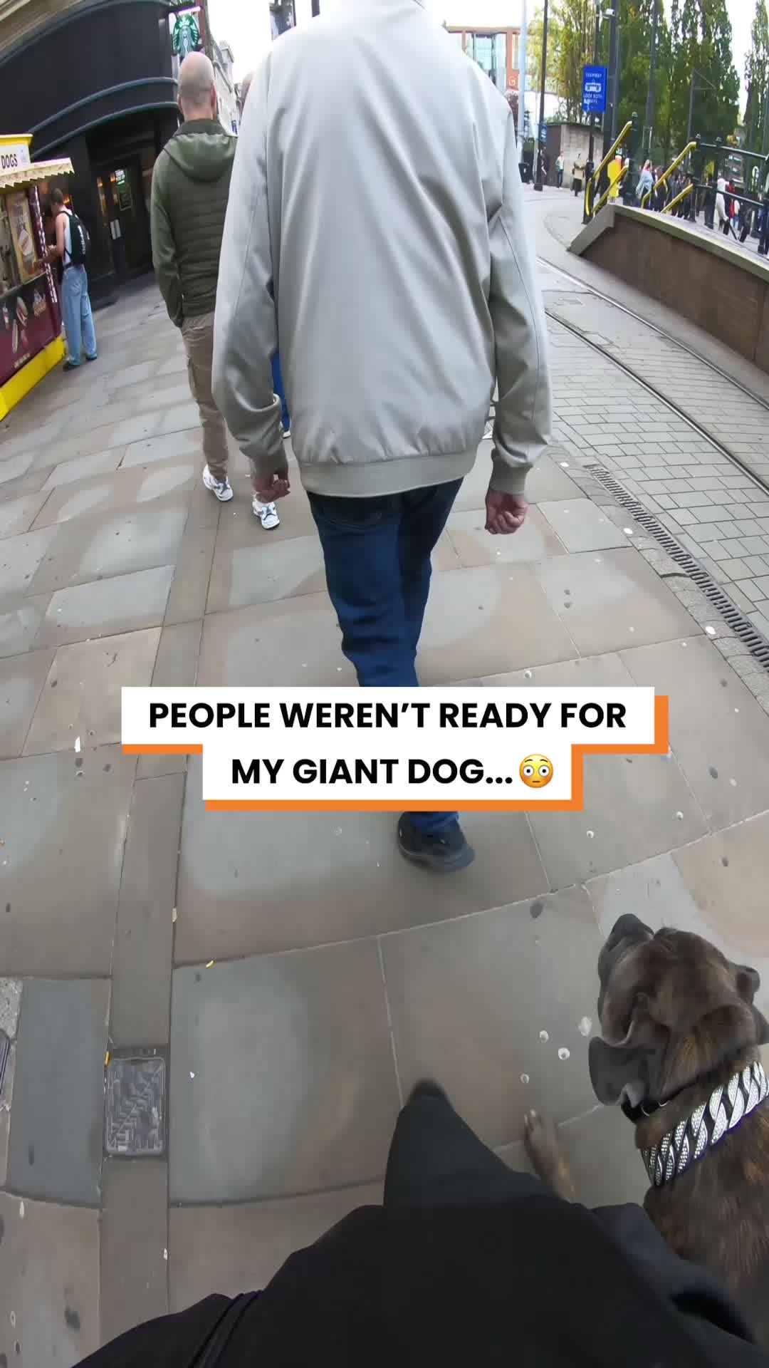 @Go Fetch