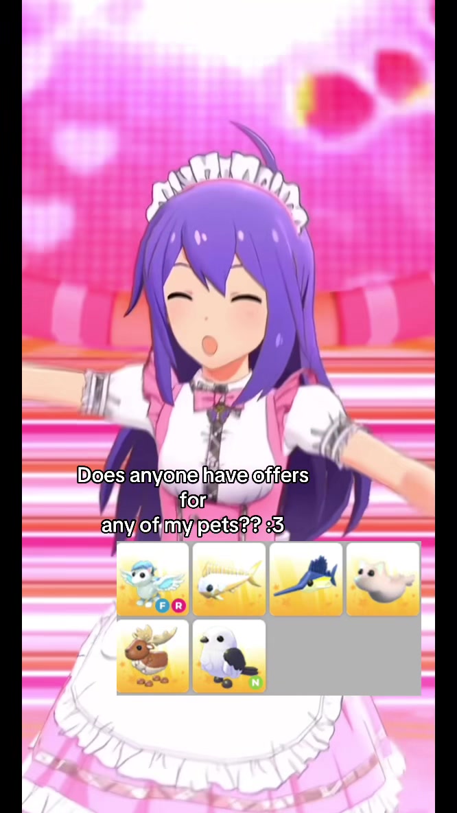@kitty