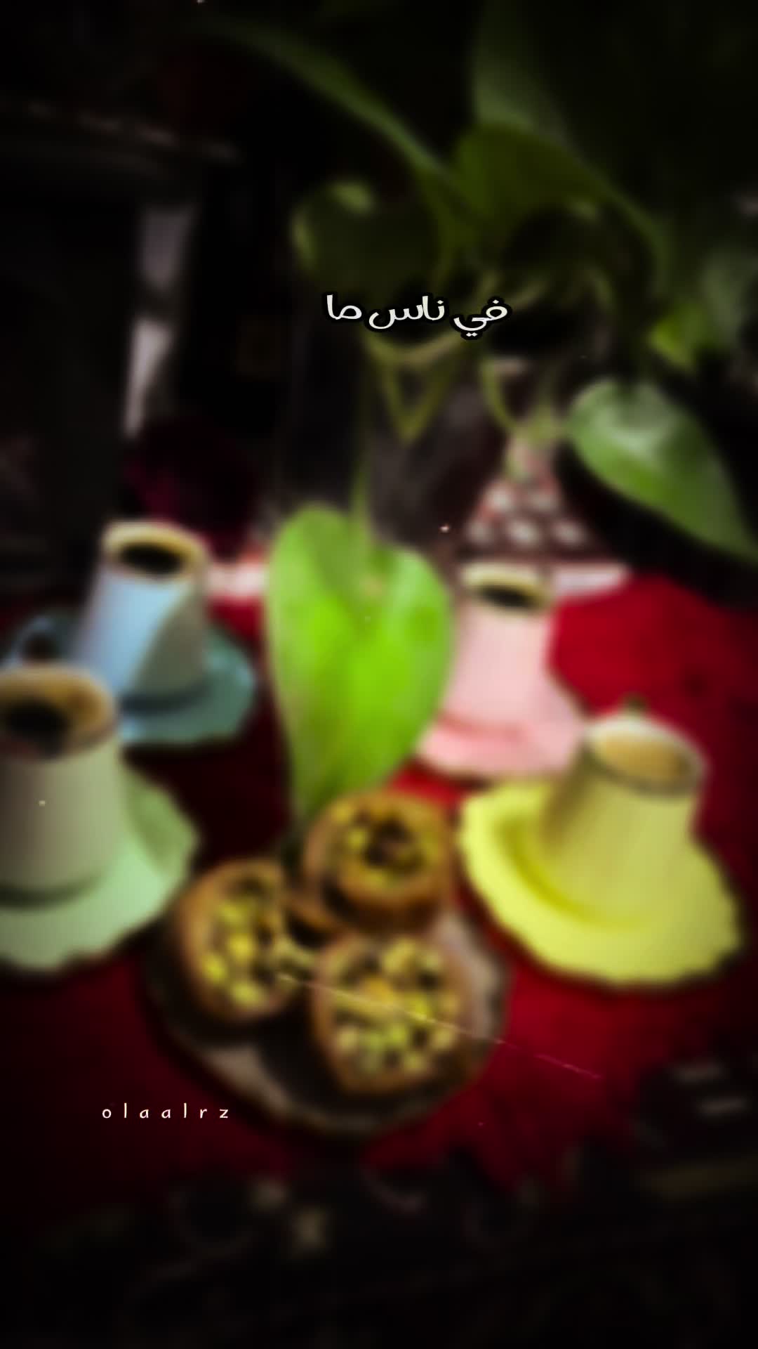 @Nahed Razouk