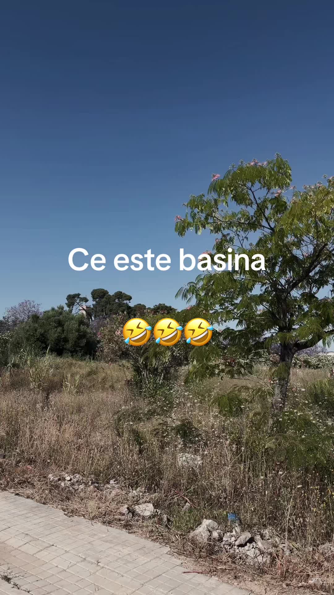 @Geo 👋