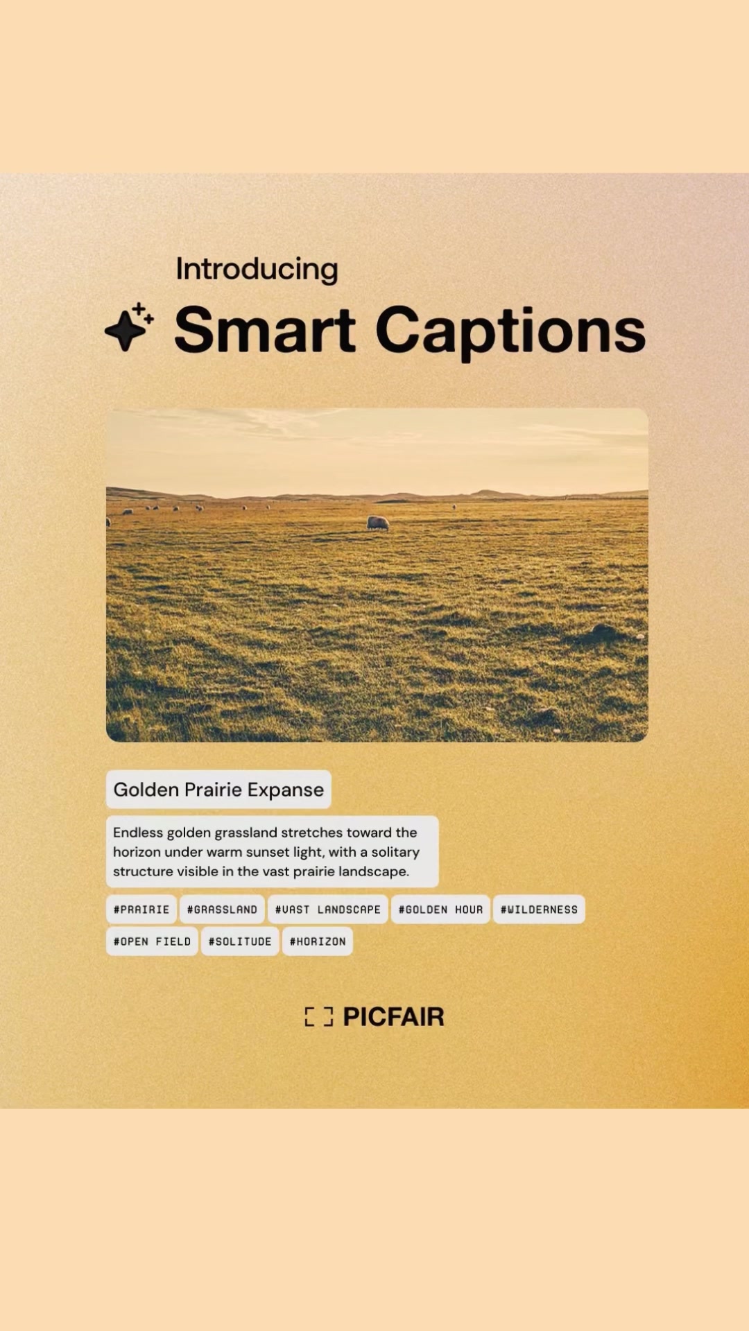 @Picfair