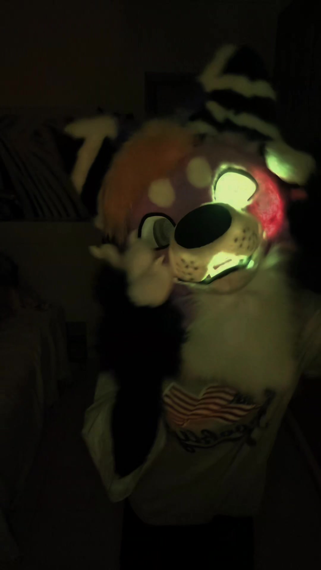 @Kyo_da_Wolf