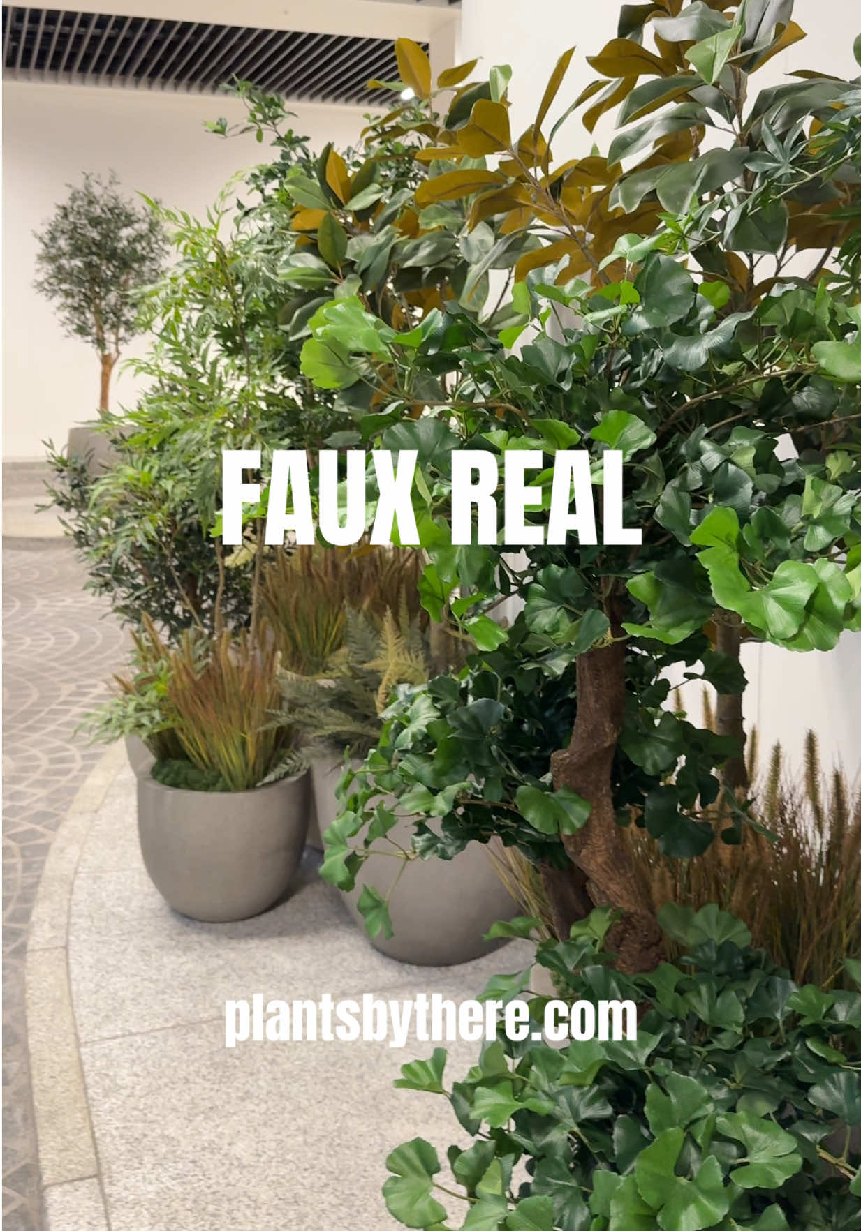 @plantsbythere