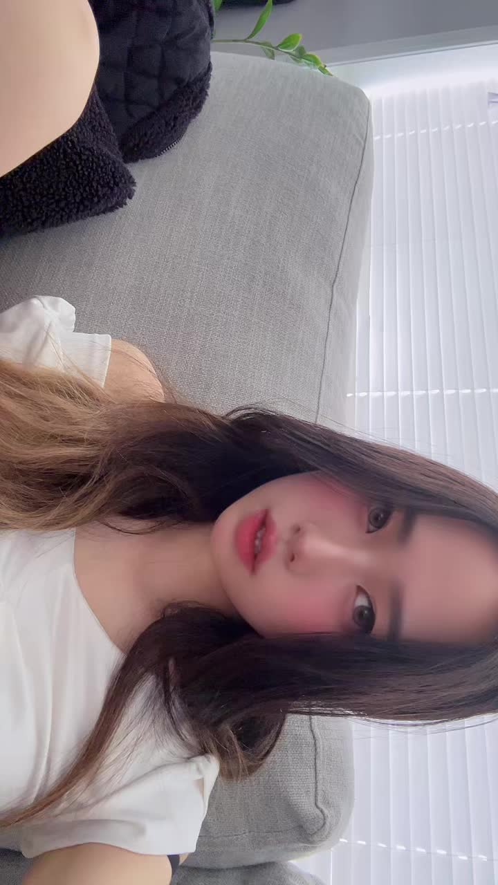 @Dynasty