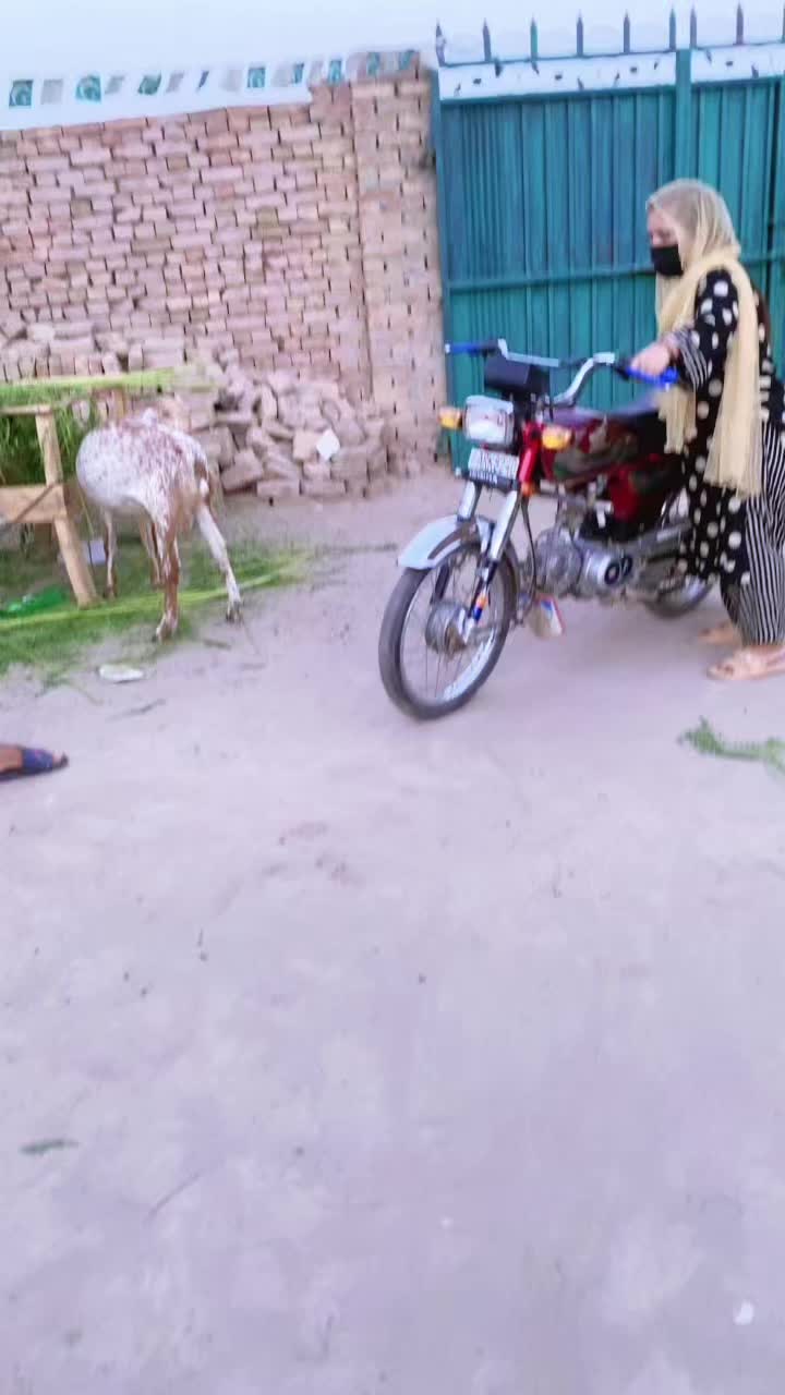 @Shehzadi Butt