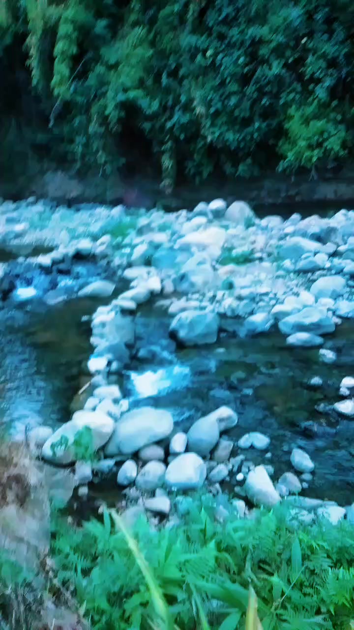 @(فَاسْتَبِقُوا الْخَيْرَاتِ)