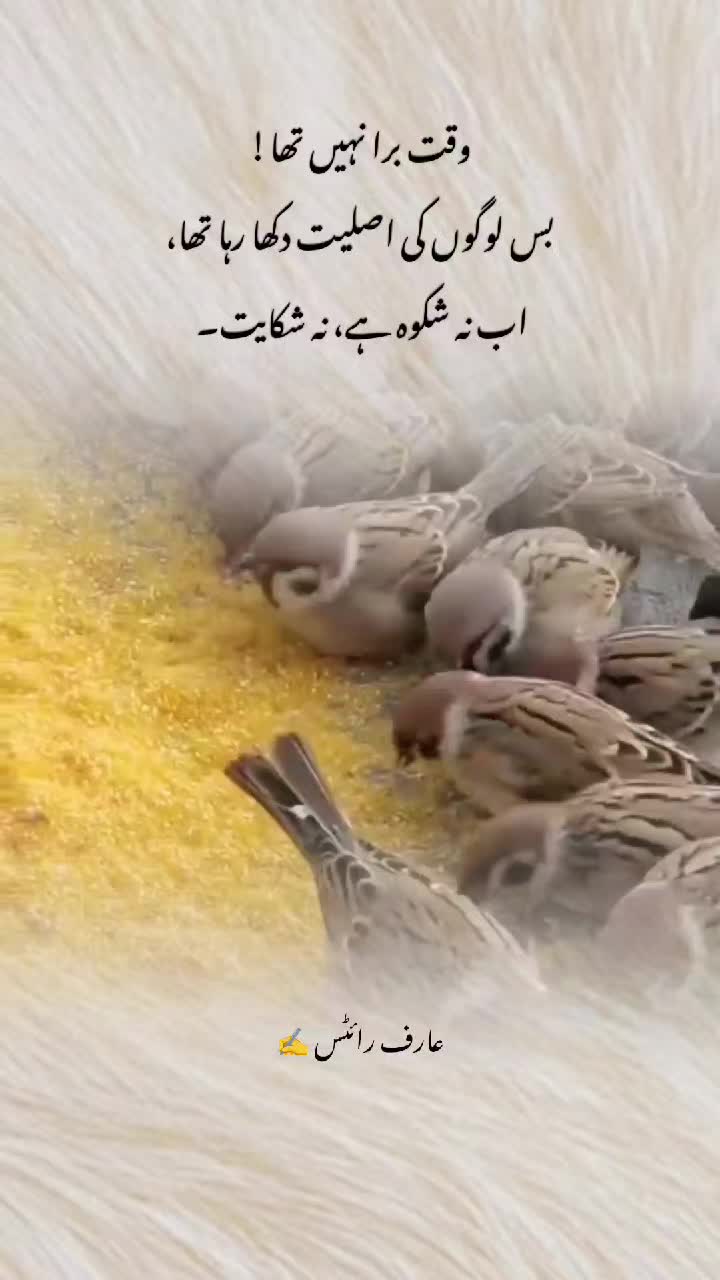 @چراغِ تنہائی 🔥