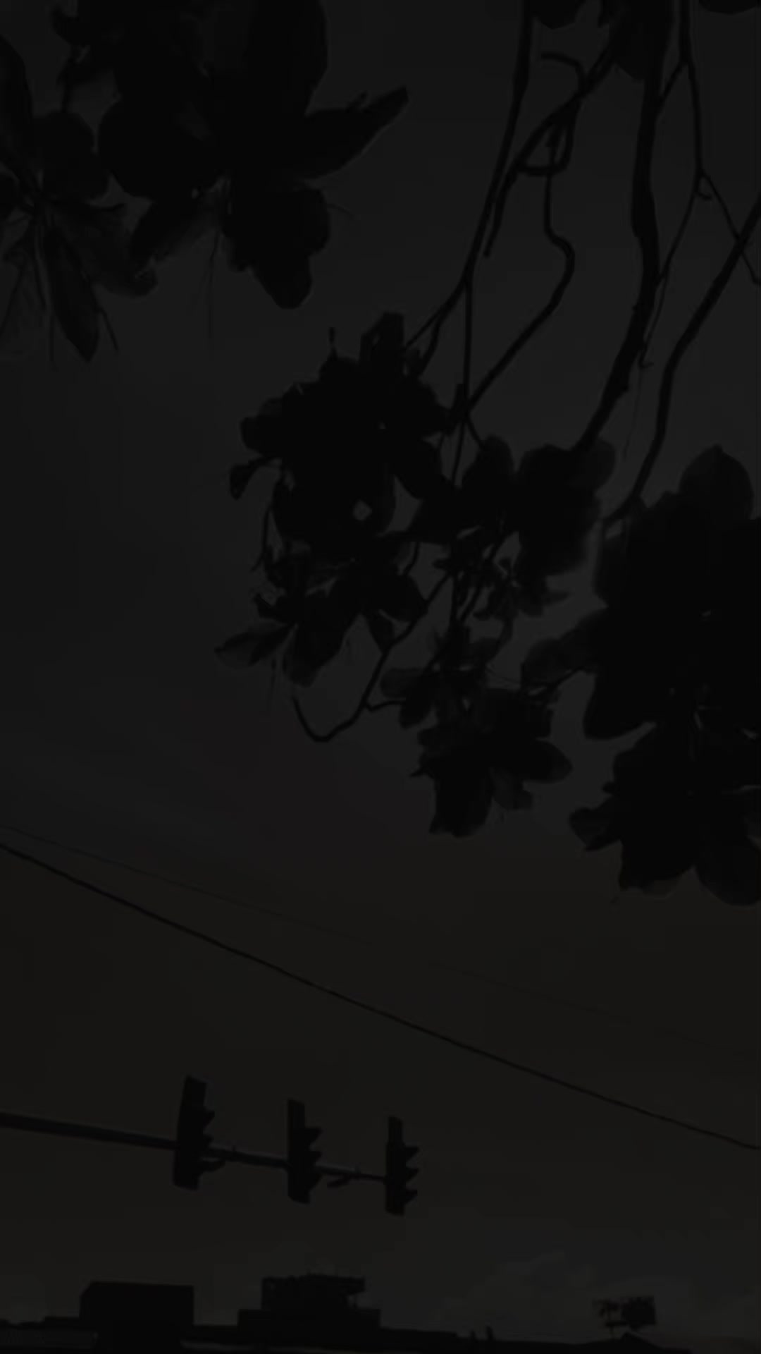 @𝓒𝓱𝓪𝓶𝓪