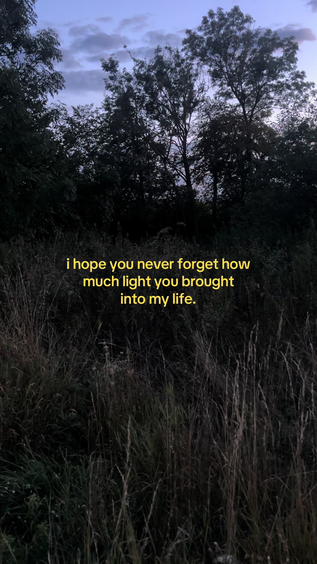 @✧