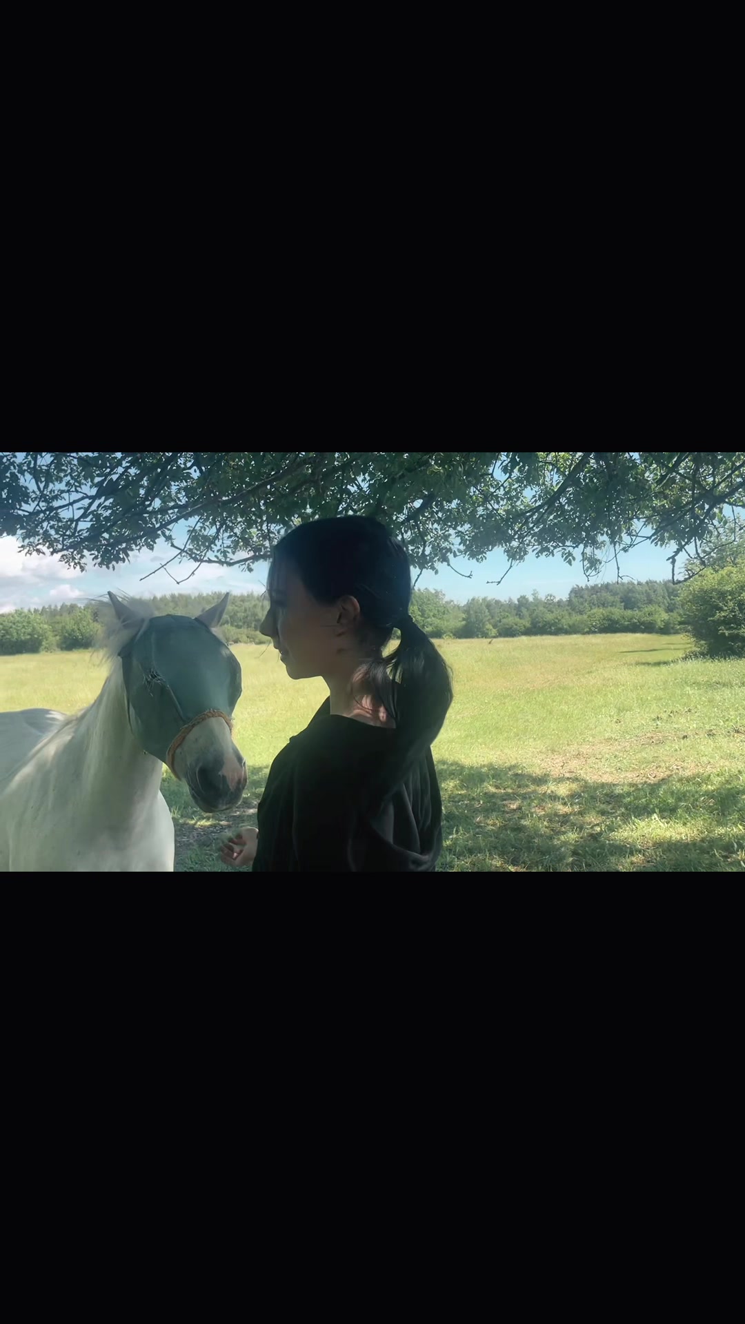 @ℳ𝒾𝓇𝒶𝓃𝒹𝒶 & ℬ𝒶𝓎𝓁𝒶