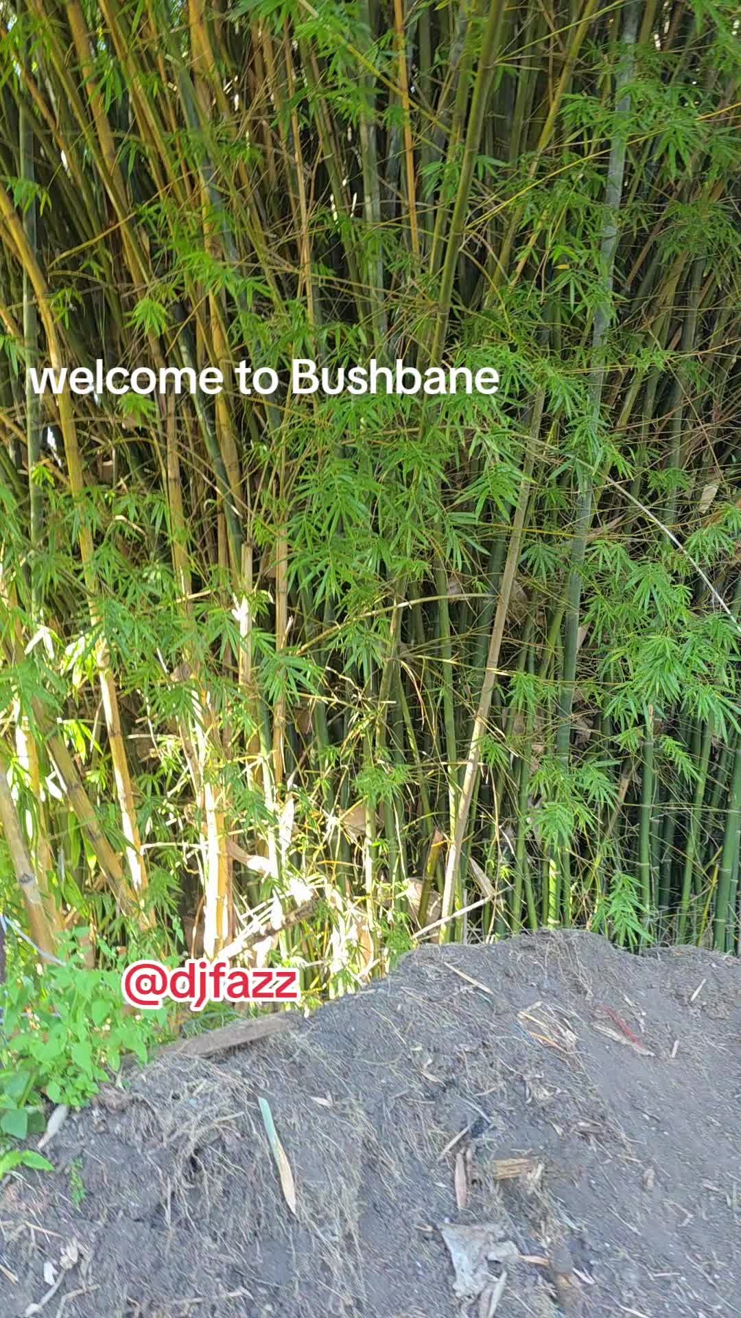 @DJFAZZ 🇳🇬🇦🇺🇫🇮🇬🇲