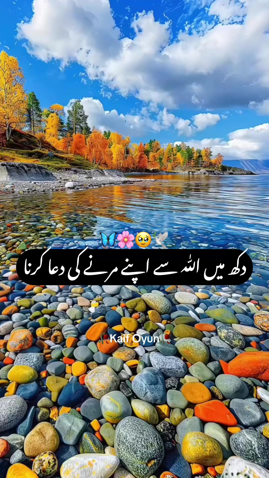 @Kaif Oyun