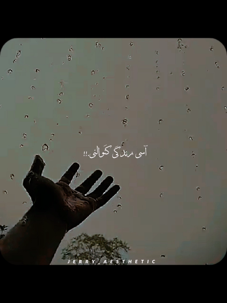 @𝘼𝙀𝙎𝙏𝙃𝙀𝙏𝙄𝘾~🩵🐼🕊️