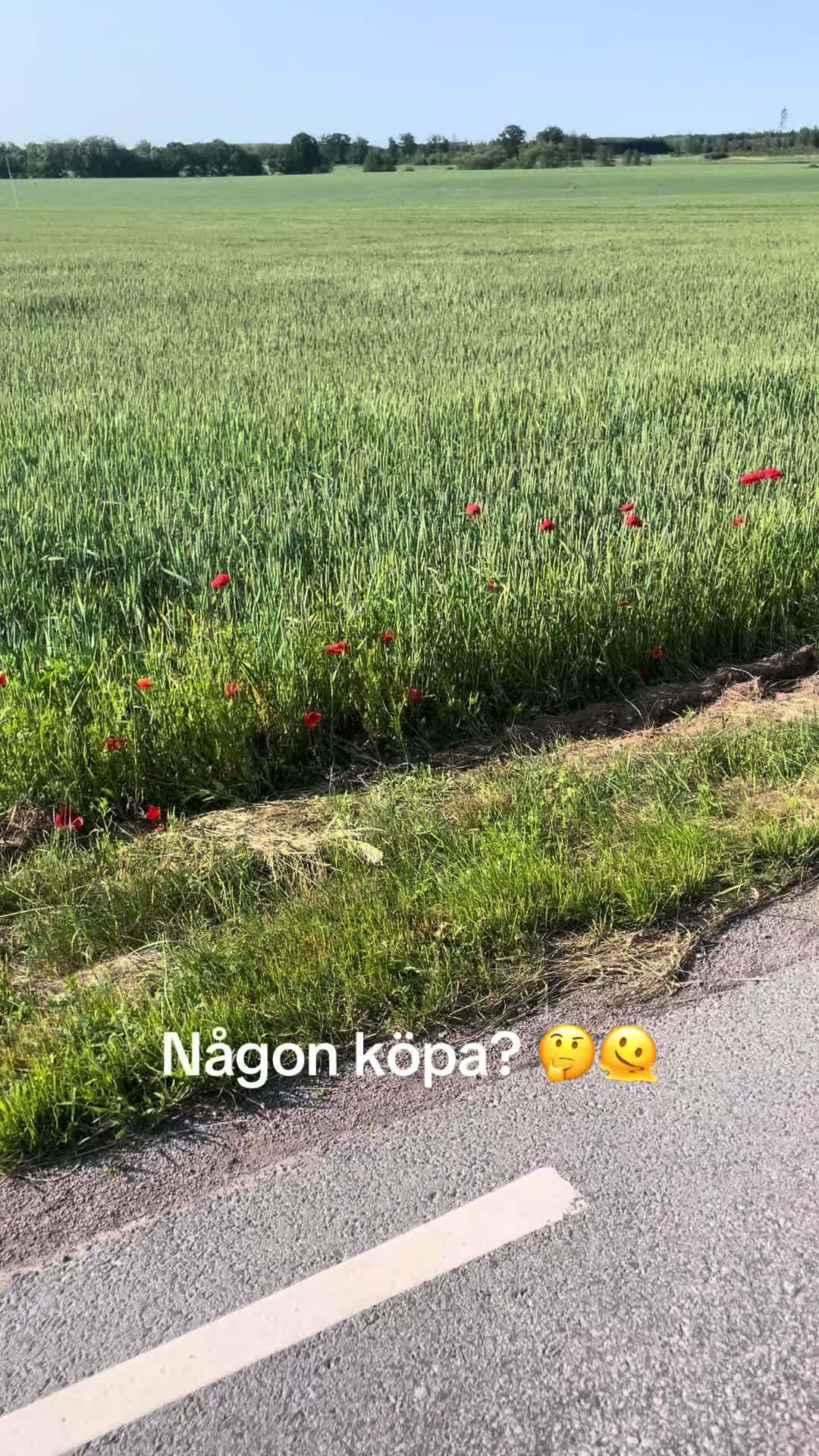 @Arvid Ejdeholt 🚜