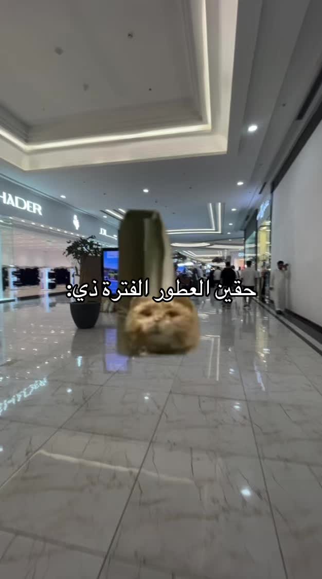 @🔥سوبر هلاقه عرعر 🔥