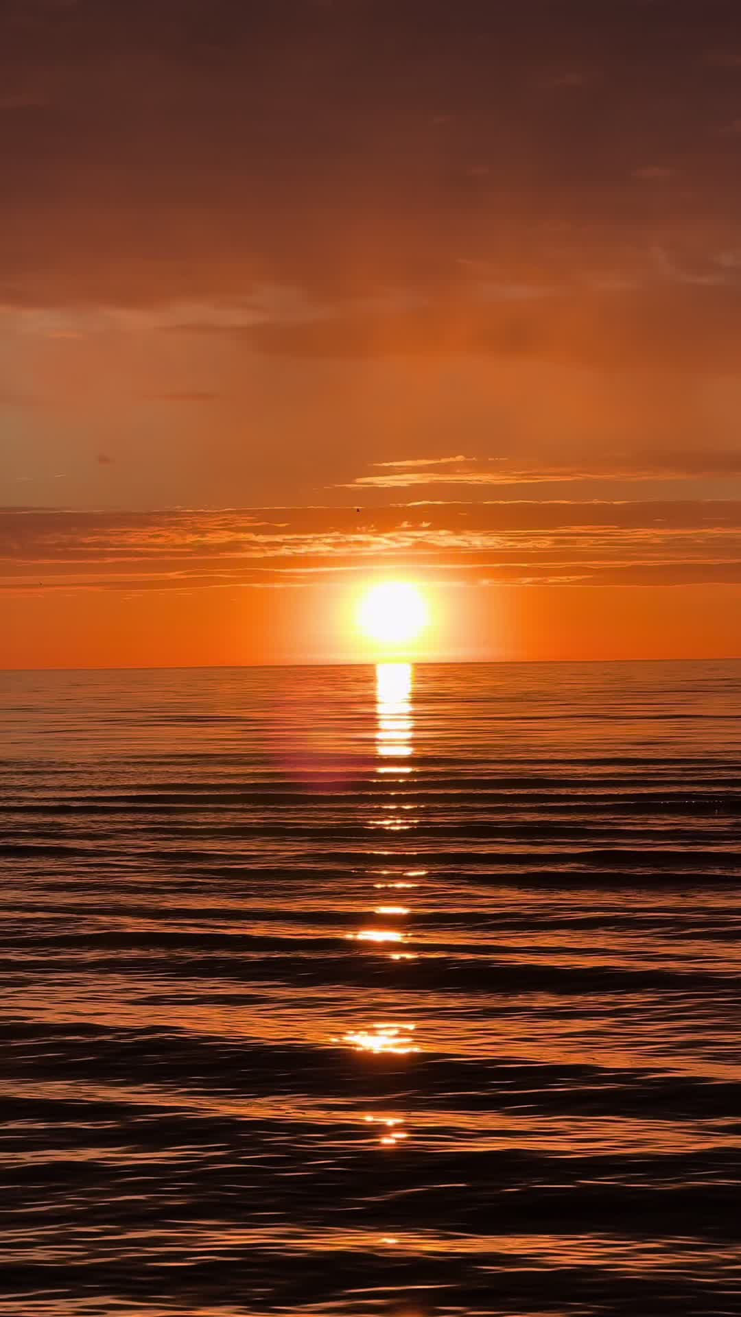 @LiberteLiga