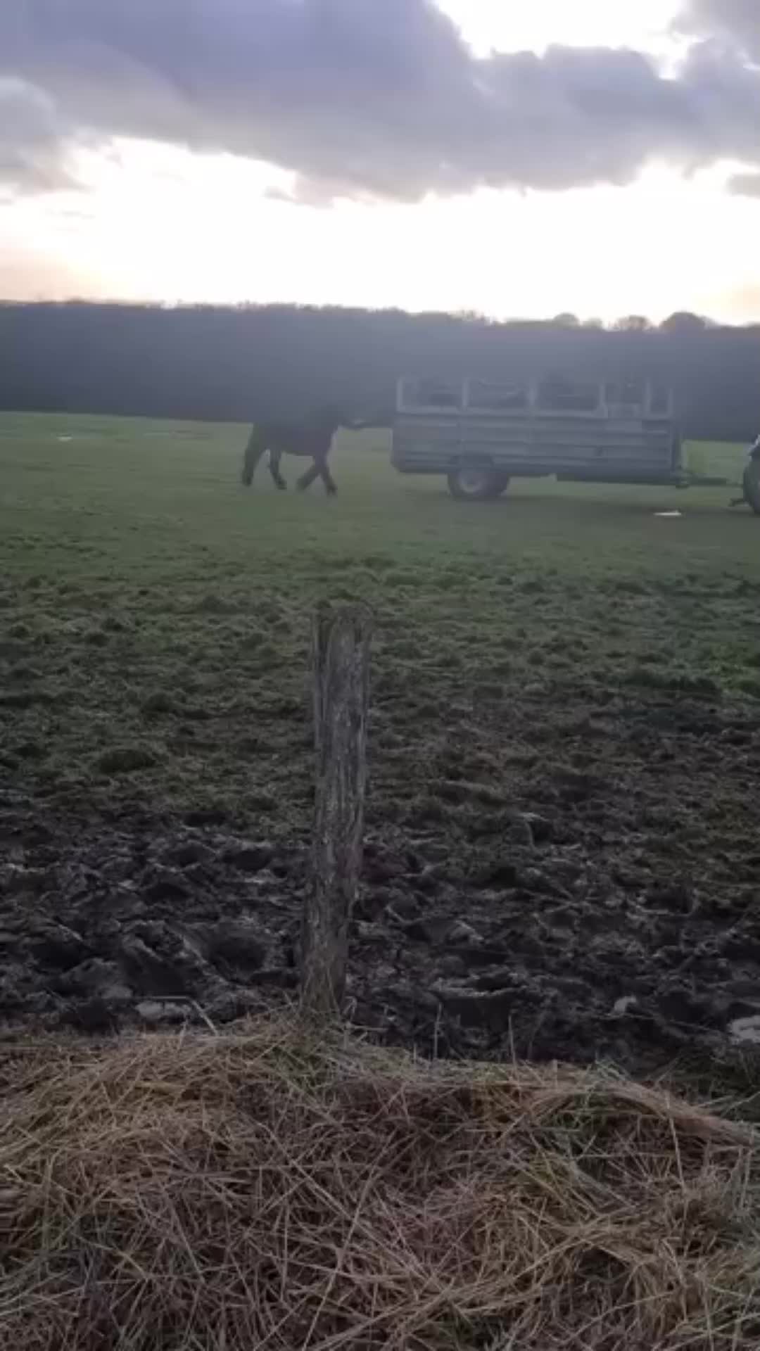 @🐴spartanu80🐴